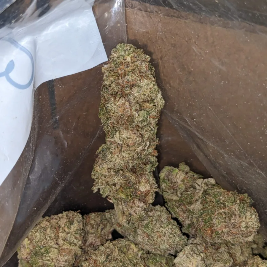 Purple Stardawg - Image 4
