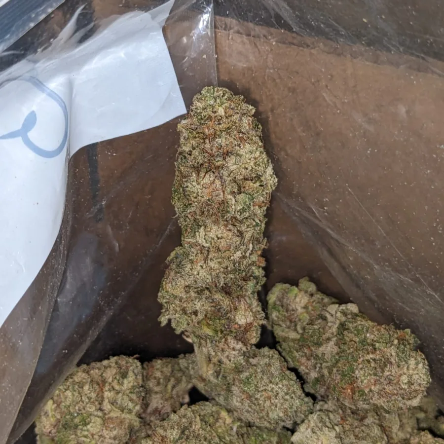 Purple Stardawg - Image 7