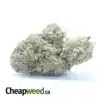 $ 53 Oz - Runtz