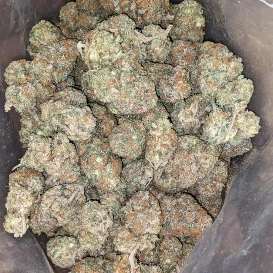 Runtz 2 I $ 53 Oz - Runtz