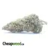 Lemon Skunk