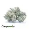 $ 56 Oz - Snow White