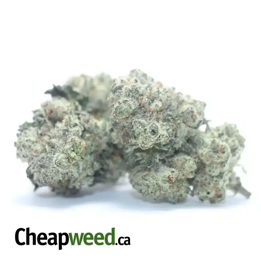 Alternative view of $ 56 Oz - Snow White
