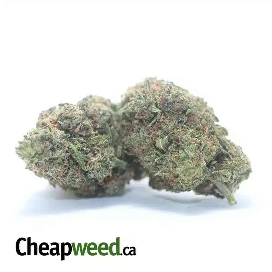 STINKY PINK 3 I Stinky Pink