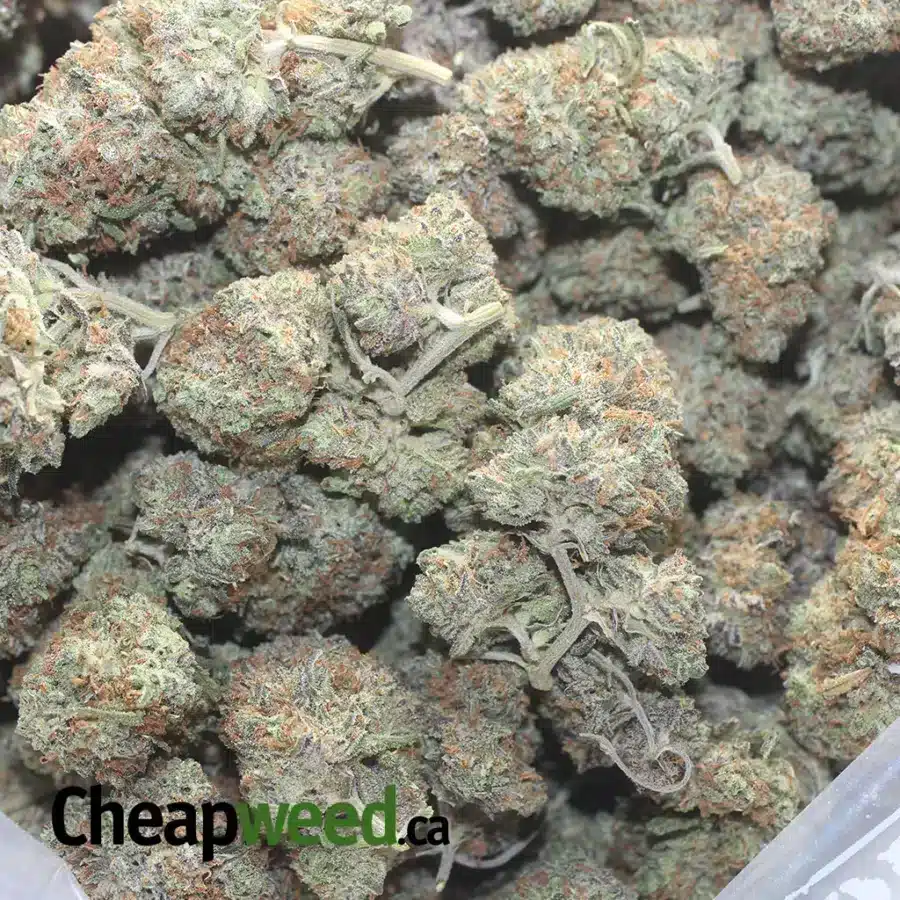 STRAWBERRY 1 I $ 52 Oz - Strawberry