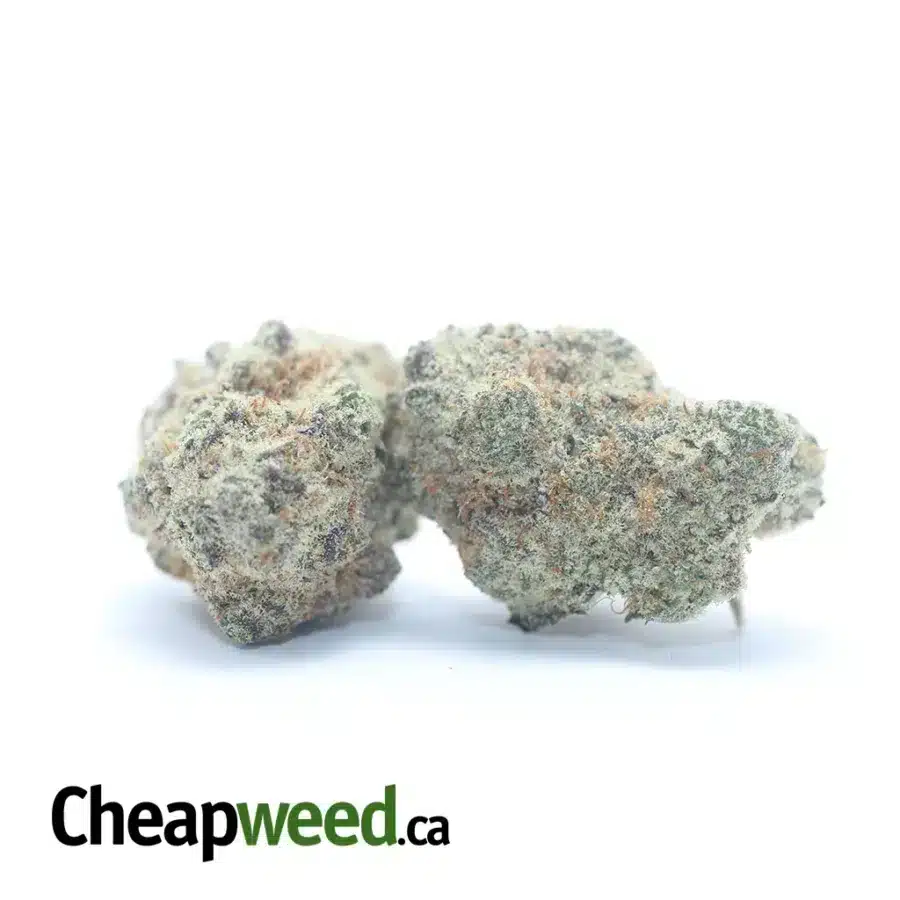 STRAWBERRY AMNESIA 3 I Strawberry Amnesia