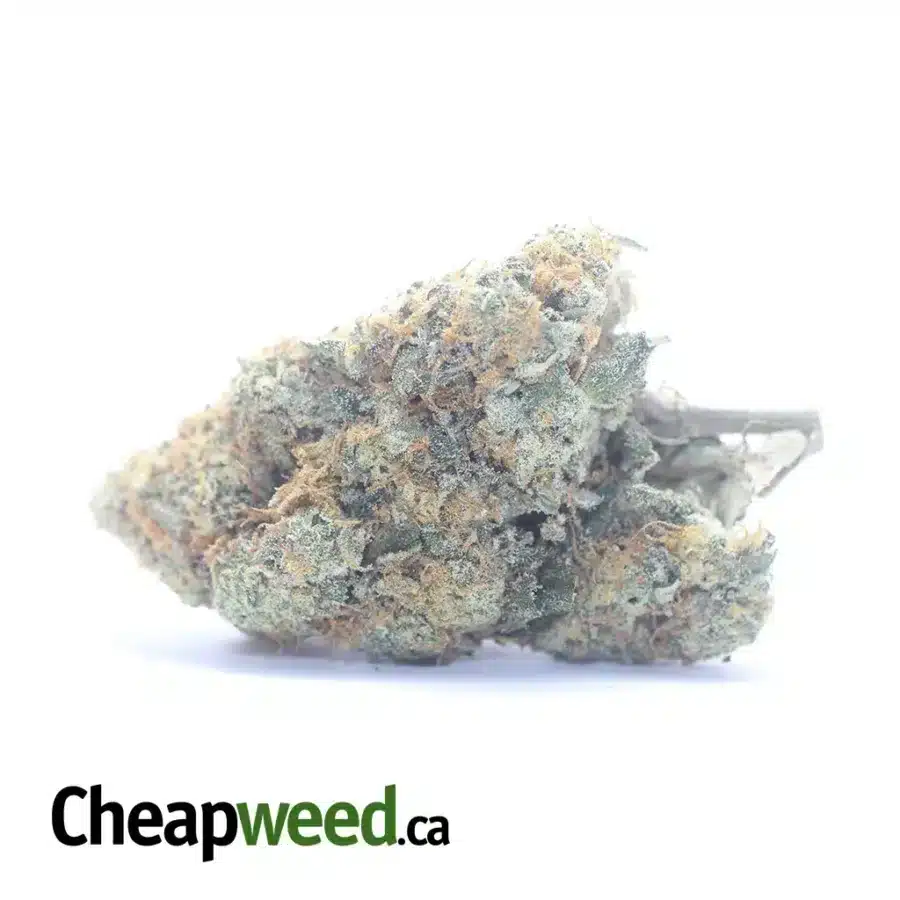 Sundae Driver