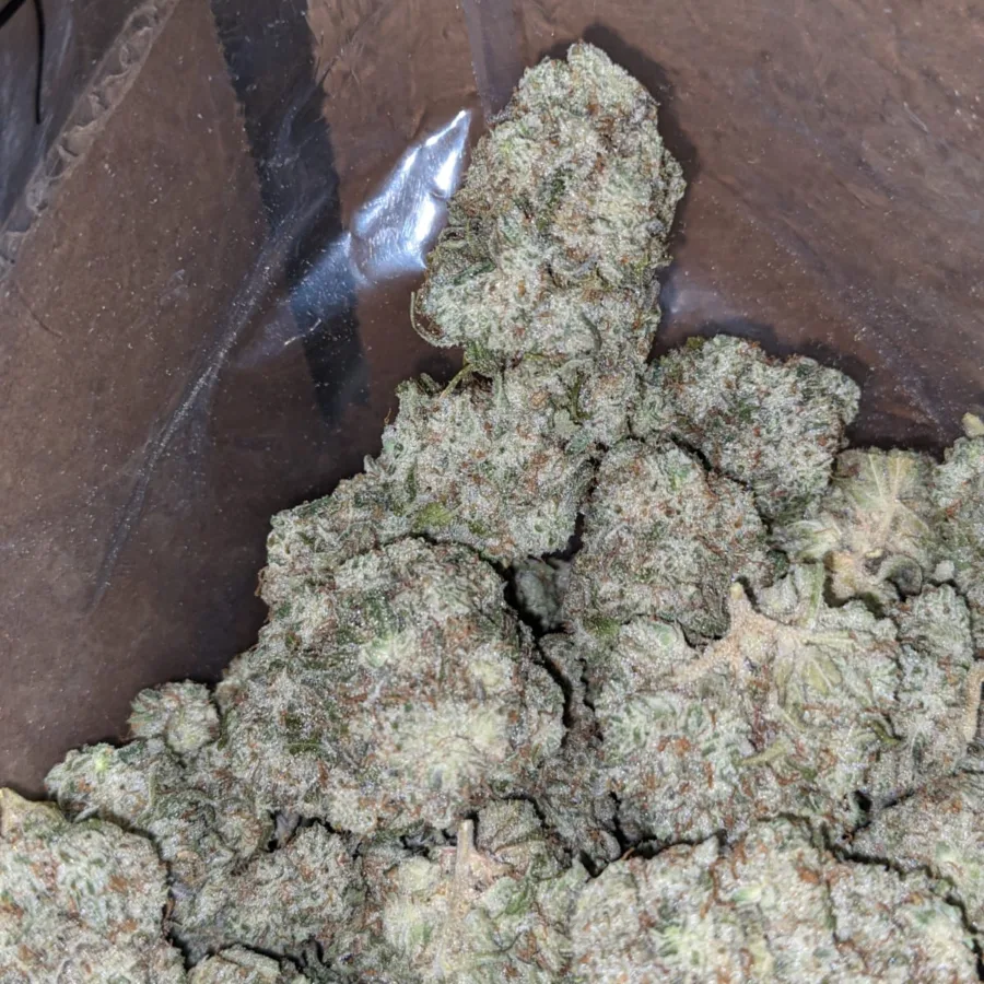 Silver Surfer - Image 5
