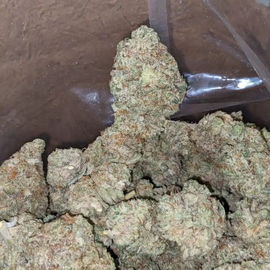 Snow White 1 1 I Snow White