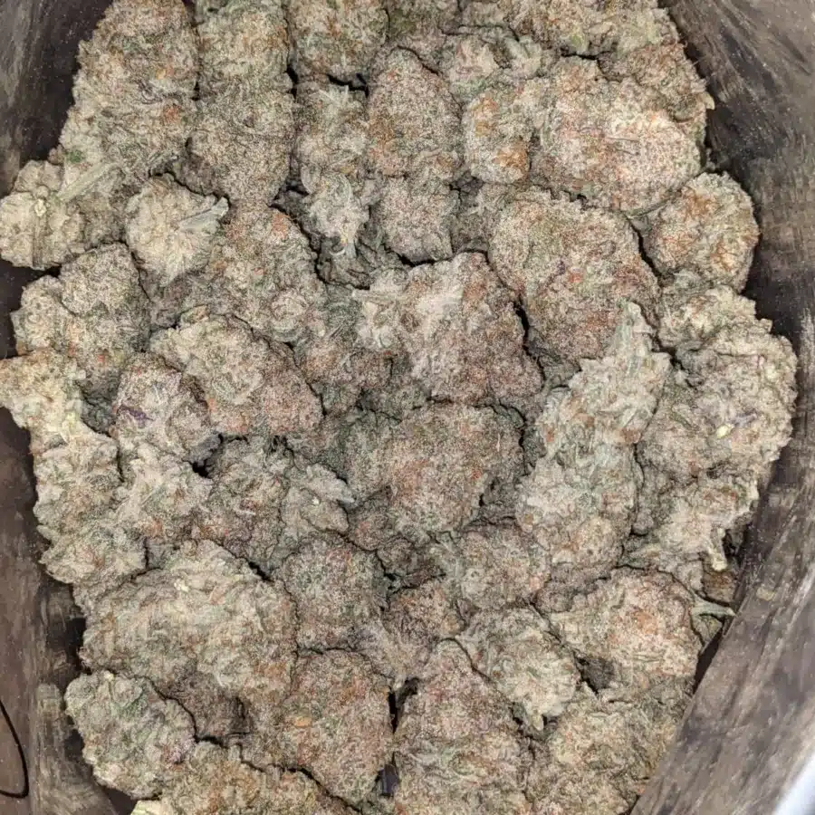 Stardawg 2 1 I Stardawg