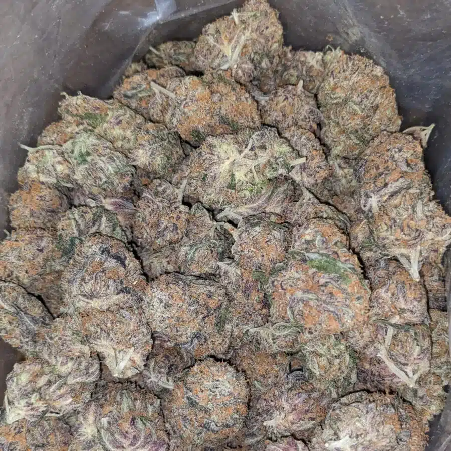 Strawberry 3 1 I Strawberry