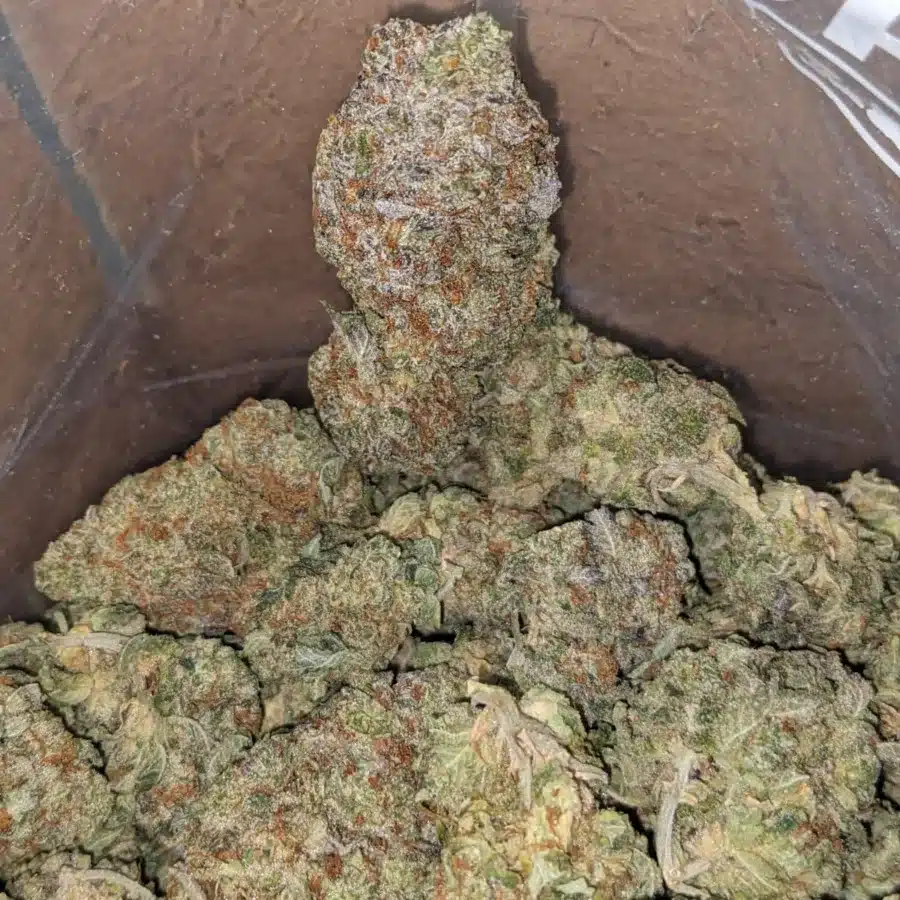 Alternative view of Super Pink