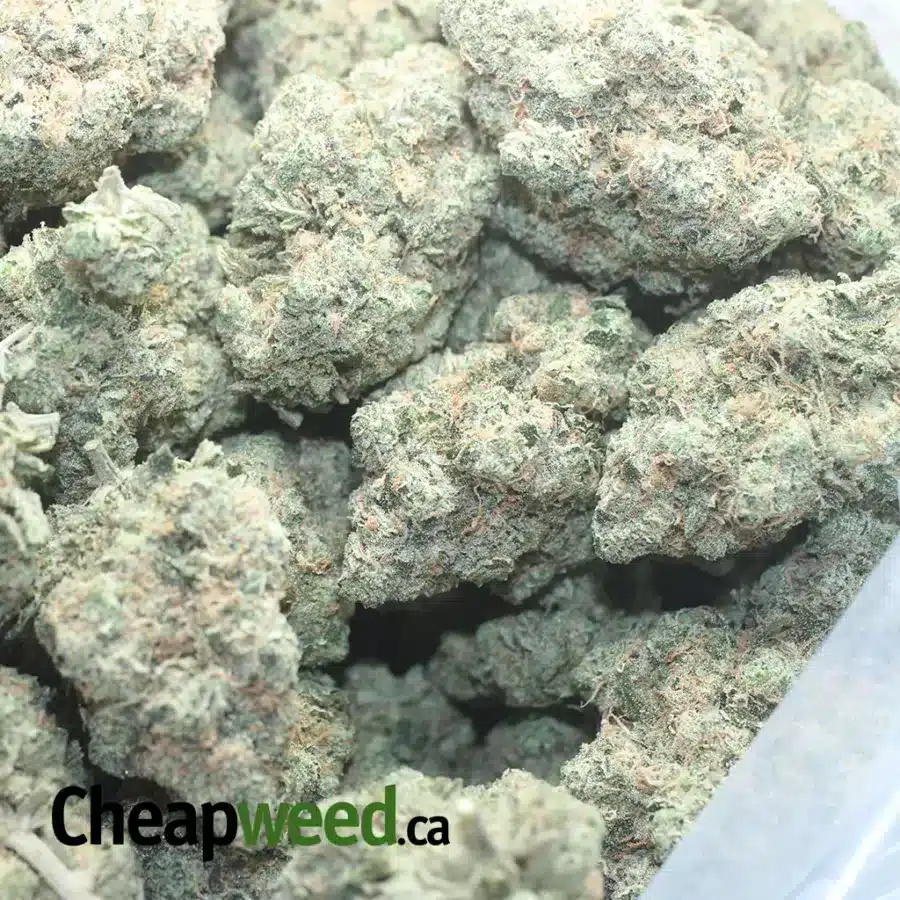TANGERINE DREAM 1 I Tangerine Dream