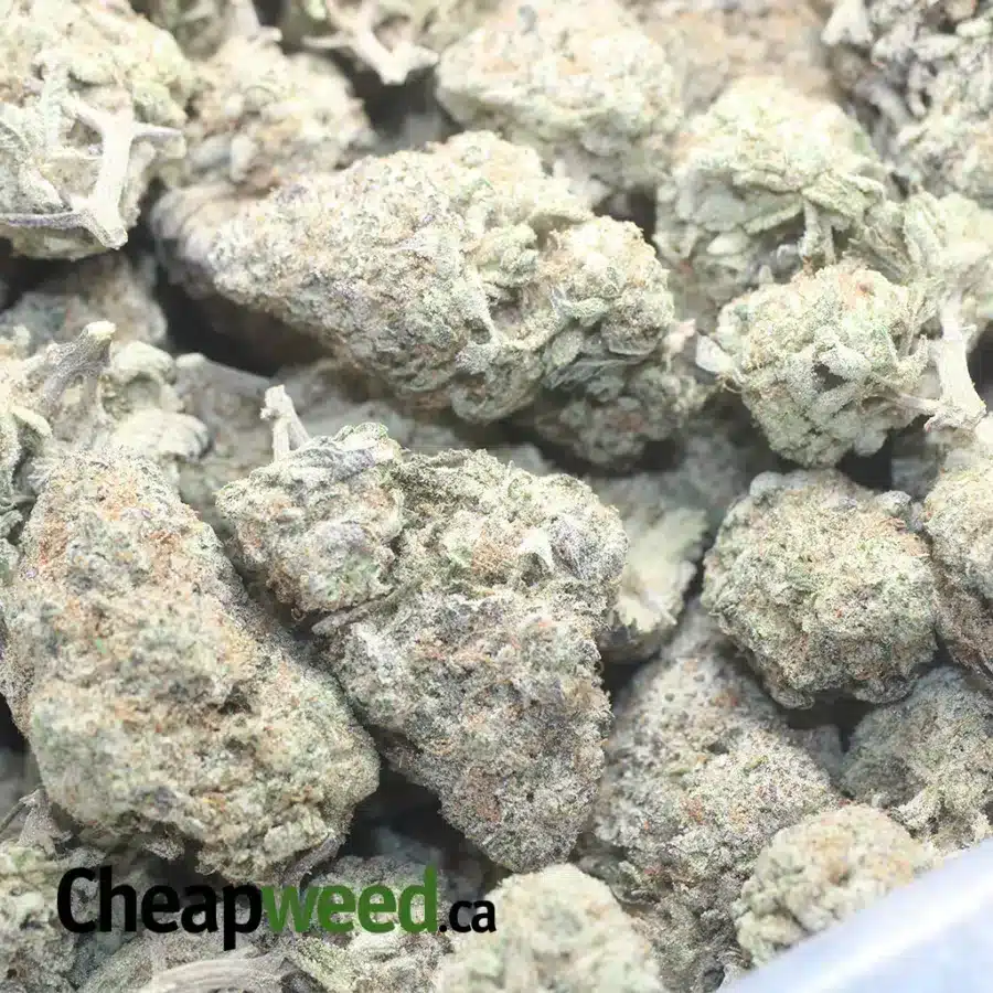 TRIANGLE MINTS 1 I $ 62 Oz - Triangle Mints