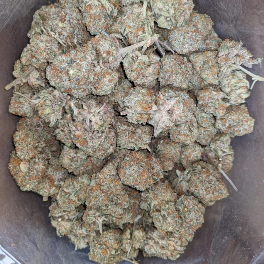 Tangerine Dream