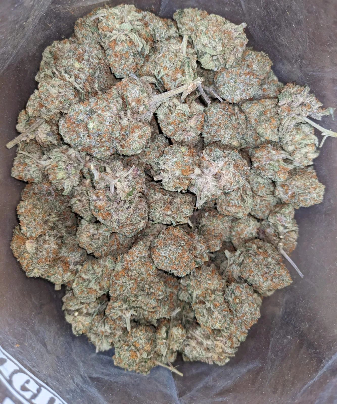 Tangerine Dream