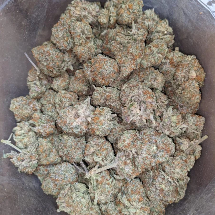 Alternative view of Tangerine Dream