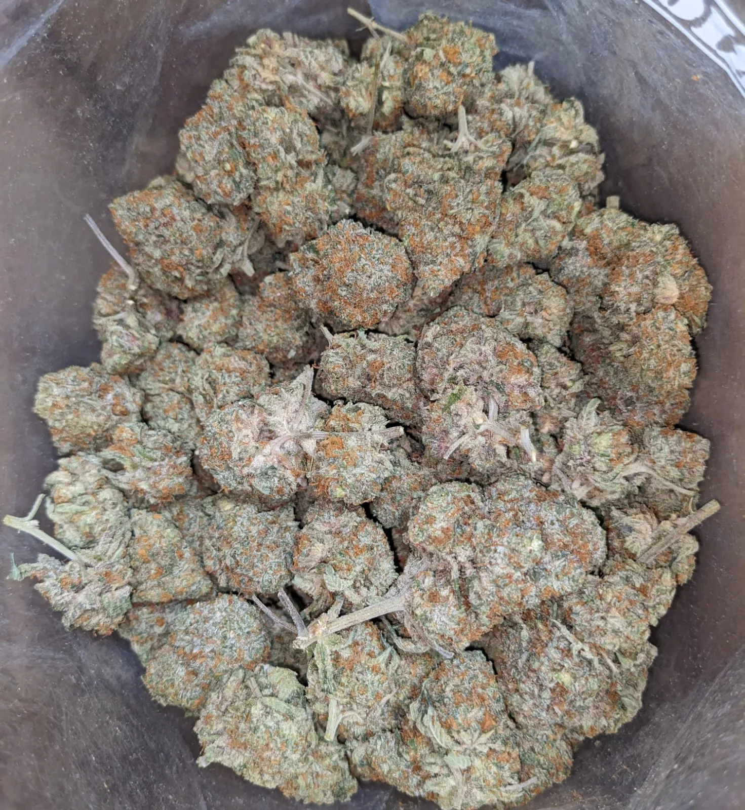 Tangerine Dream - Image 2