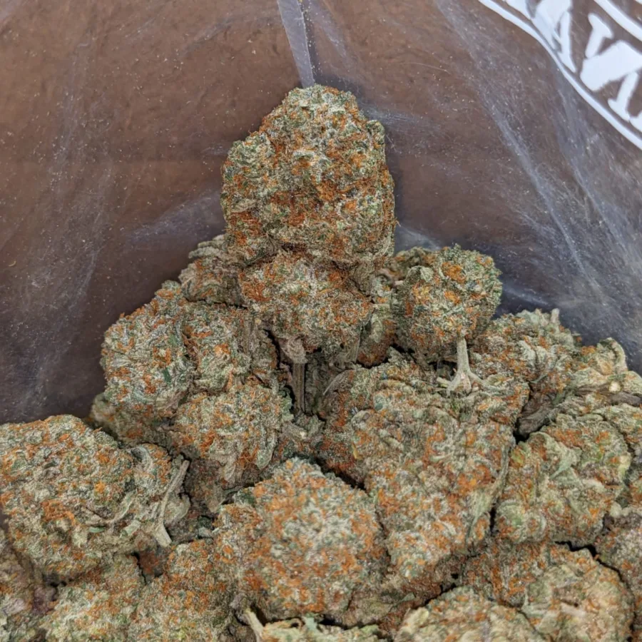Tangerine Dream - Image 5