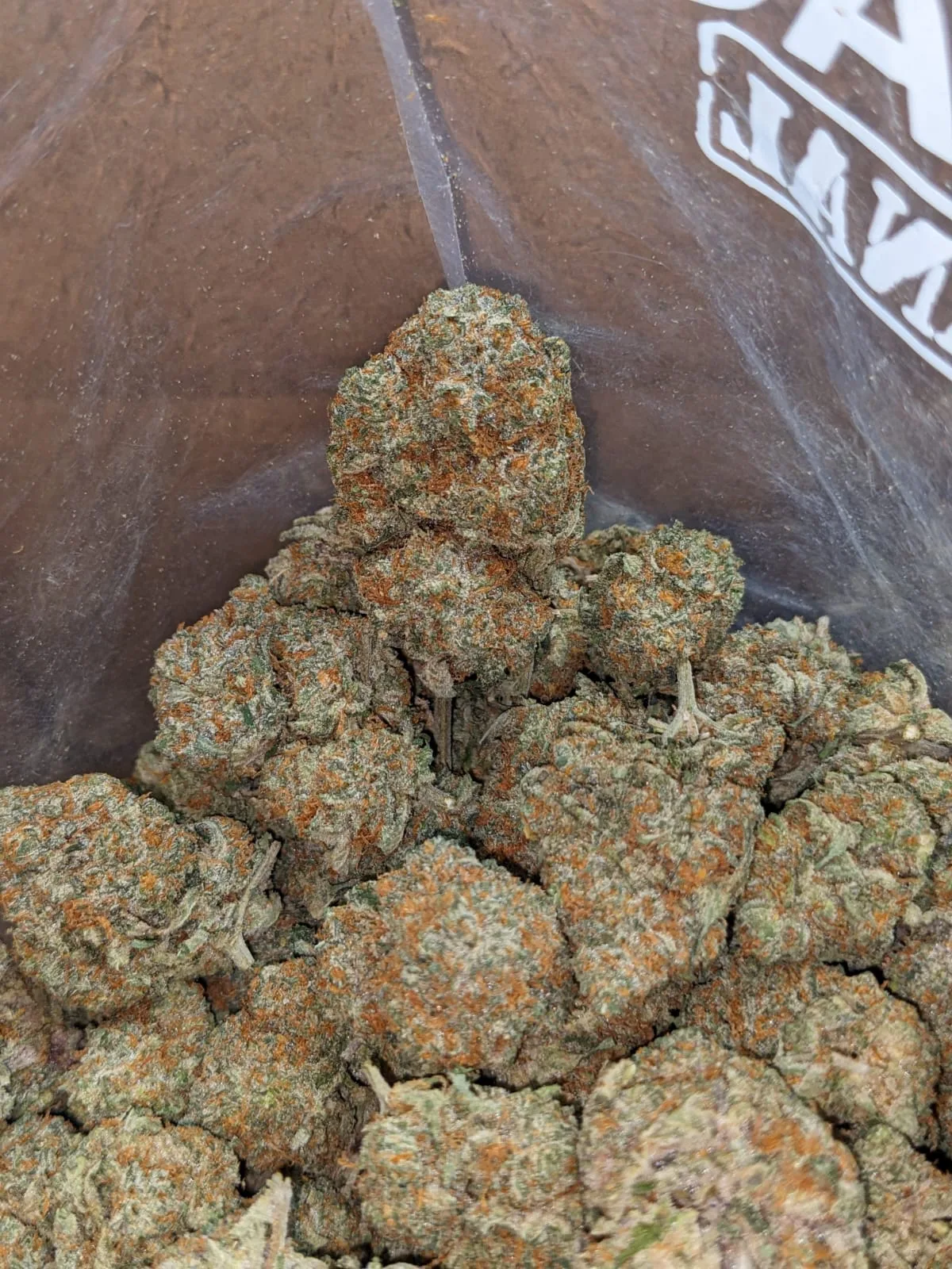 Tangerine Dream - Image 5