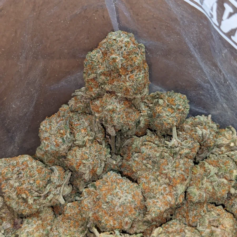 Tangerine Dream - Image 4
