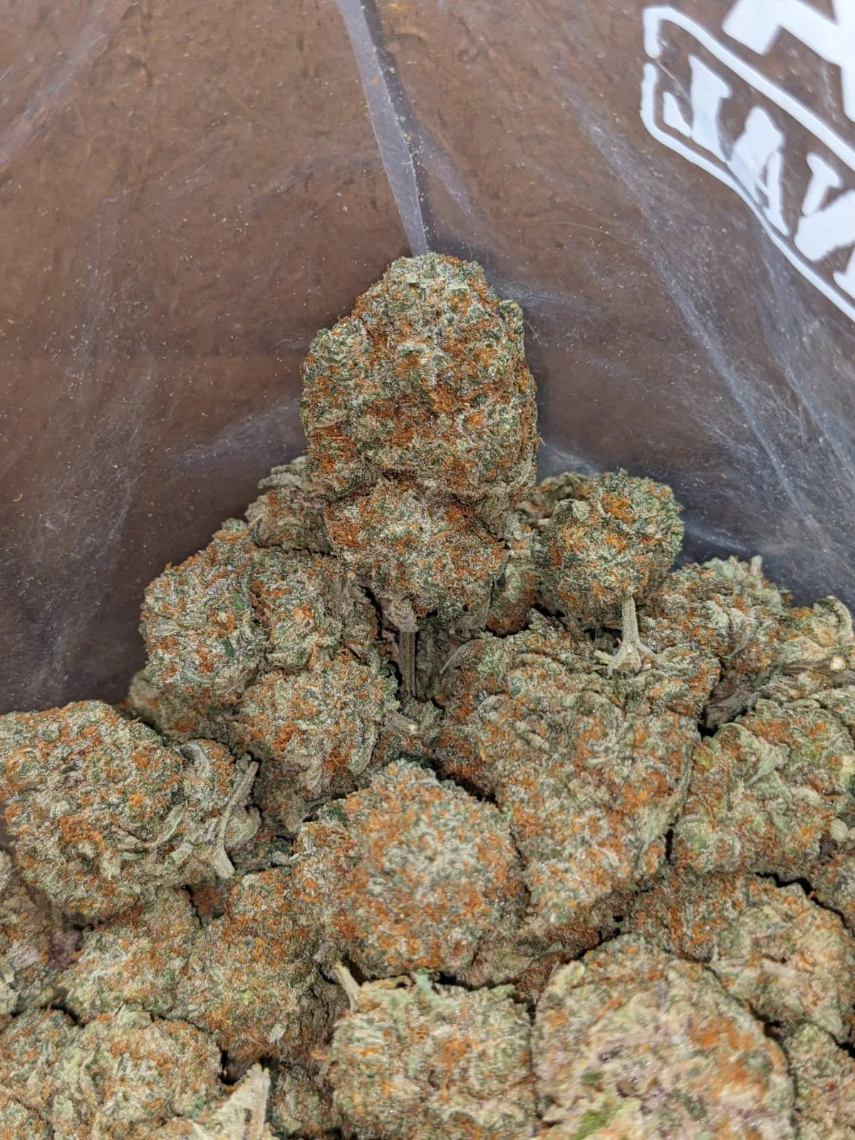 Tangerine Dream - Image 4