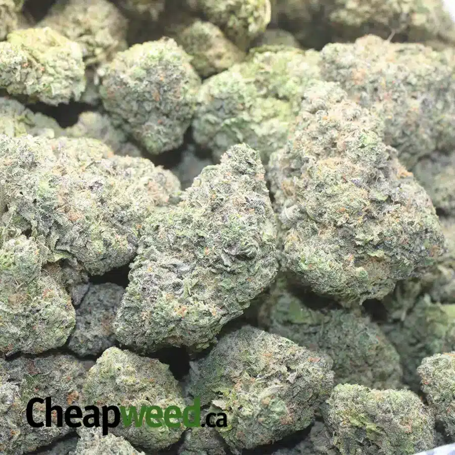 WATERMELON 1 I $ 65 Oz - Watermelon