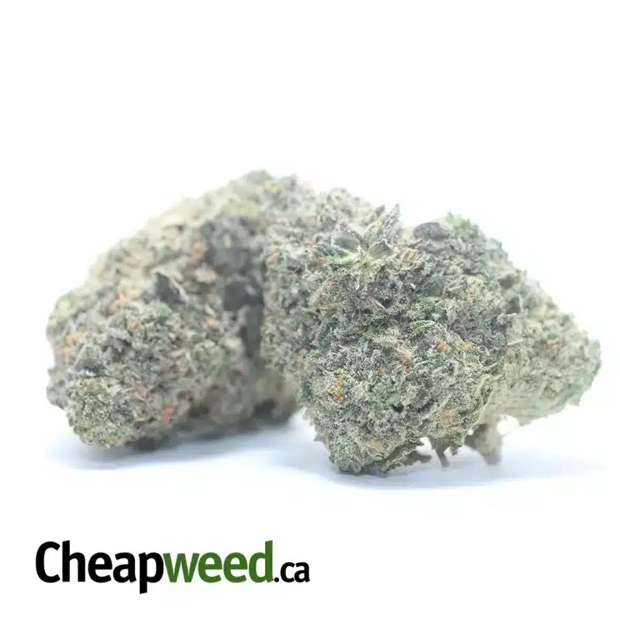 WATERMELON 3 I $ 65 Oz - Watermelon