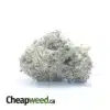 $ 52 Oz - White Berries