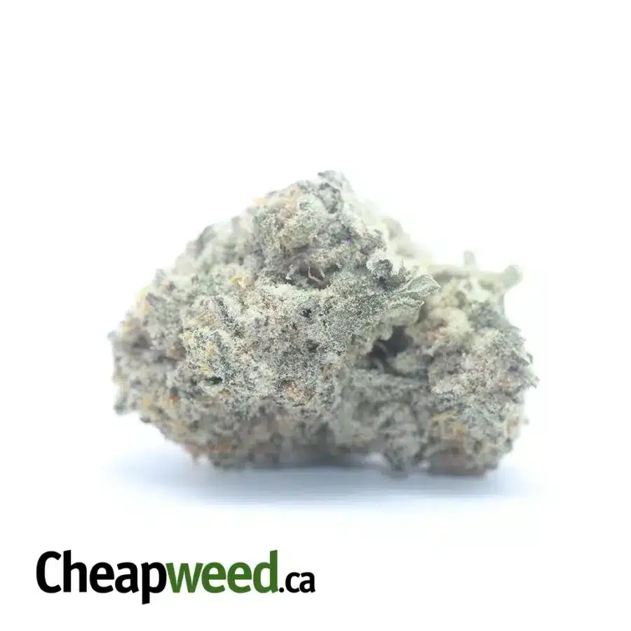 $ 52 Oz - White Berries