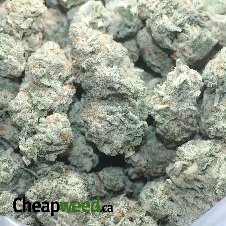 WHITE COOKIES 1 1 I $ 49 Oz - White Cookies