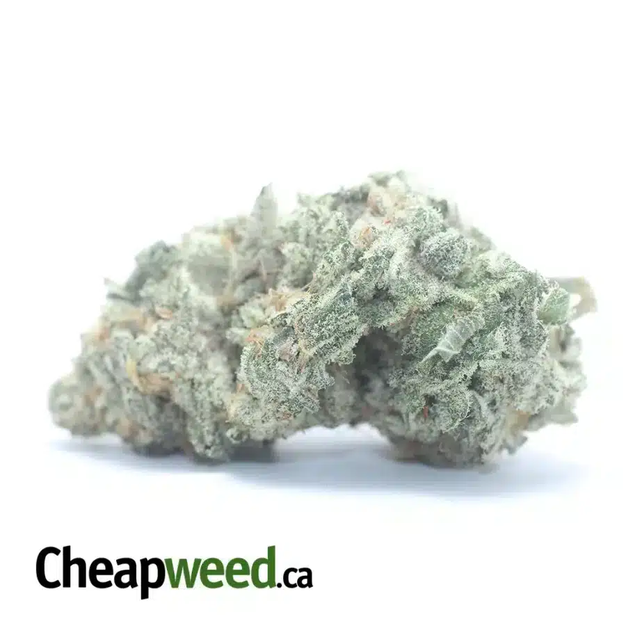 $ 49 Oz - White Cookies