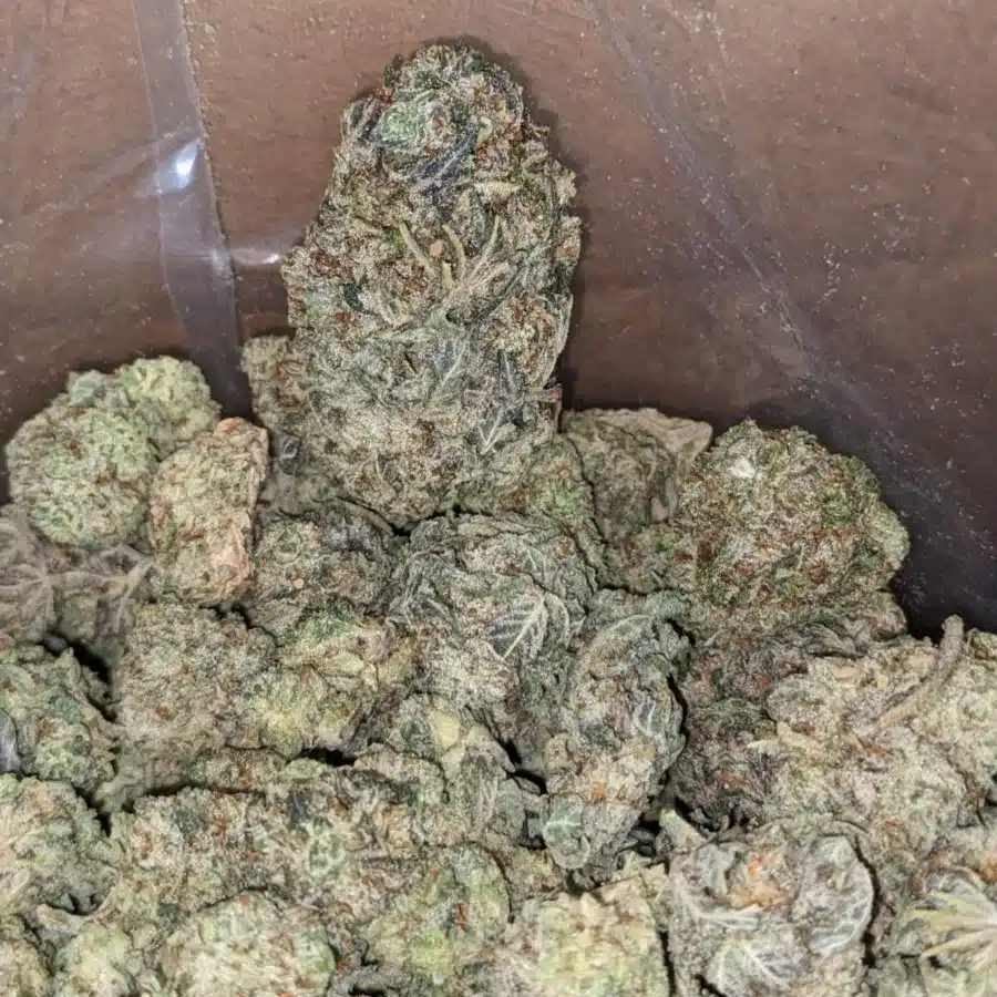 White Berry 3 1 I White Berry