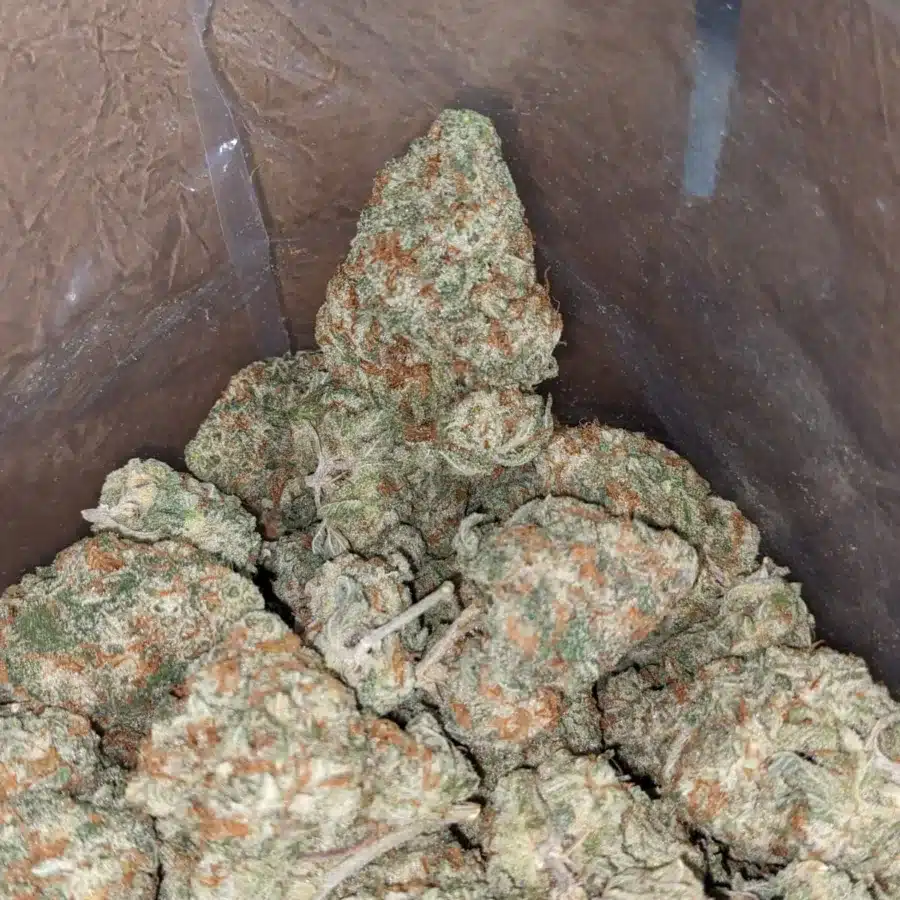 White cookies 3 2 I White Cookies