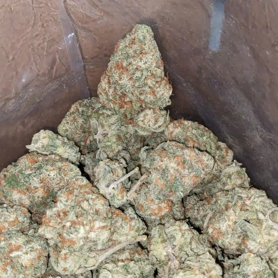 White cookies 4 1 I White Cookies