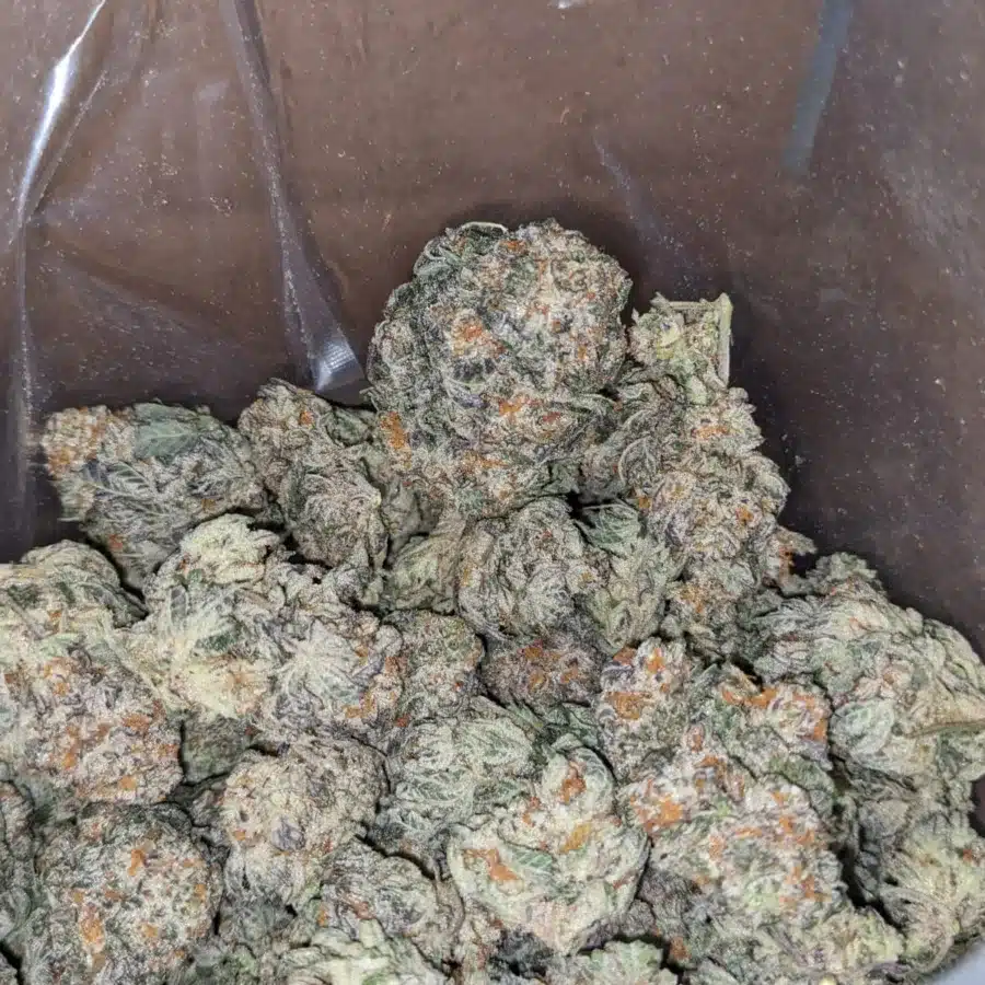 Wtf kush 1 1 I WTF Kush