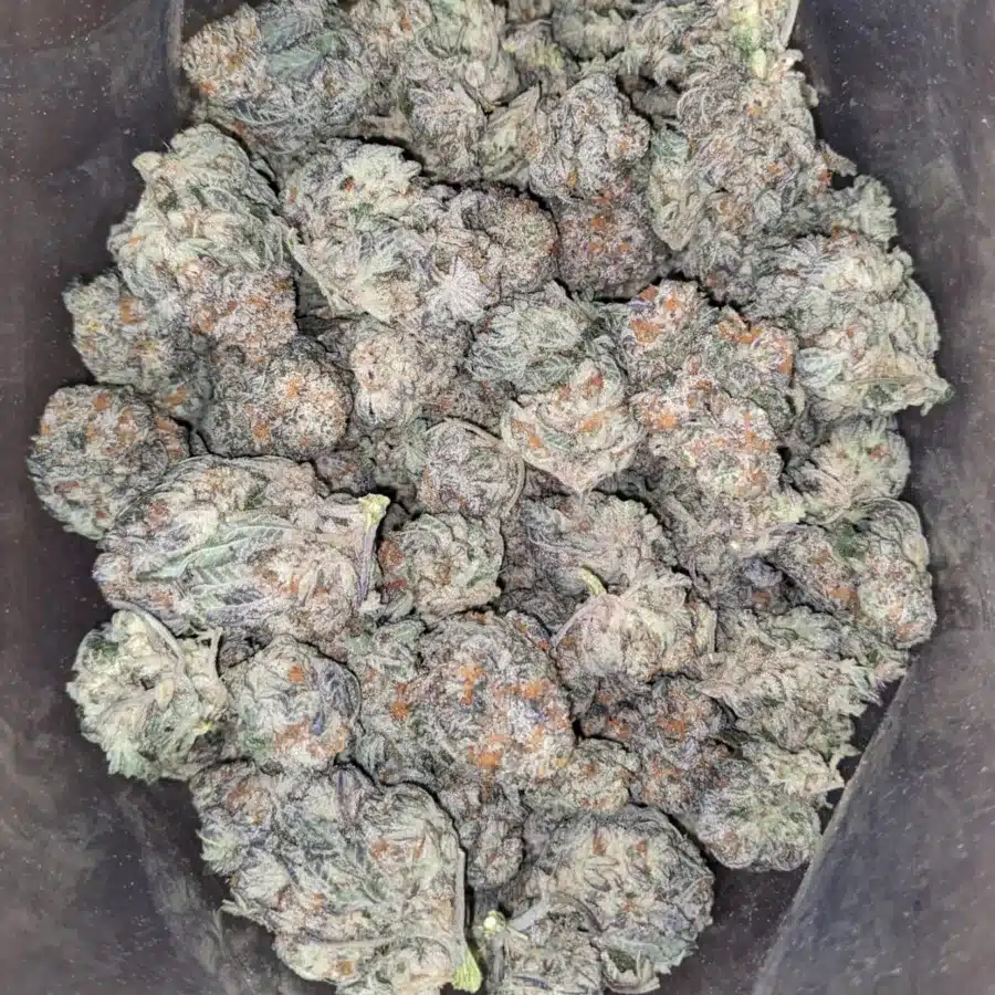 Wtf kush 3 1 I WTF Kush