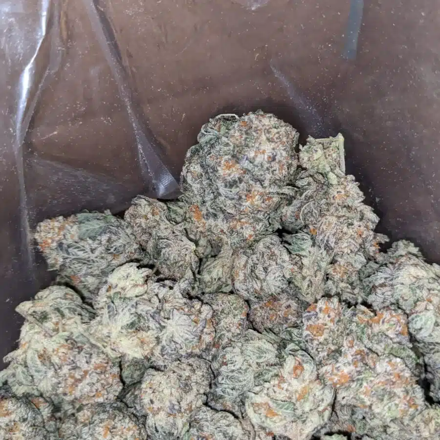 Wtf kush 4 I WTF Kush
