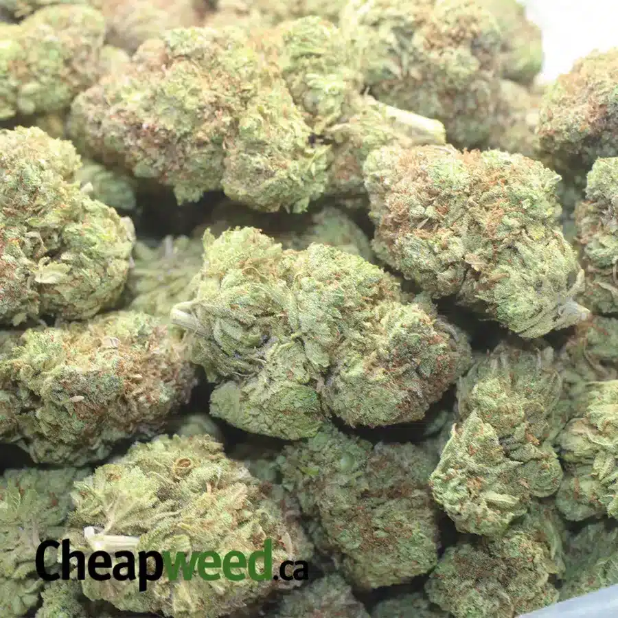 YUZU LEMON 1 1 I $ 48 oz - Yuzu Lemon