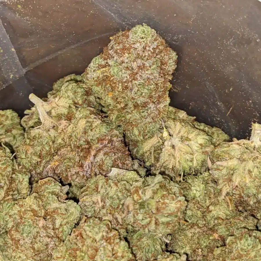 Yuzu lemon 1 I $ 48 oz - Yuzu Lemon