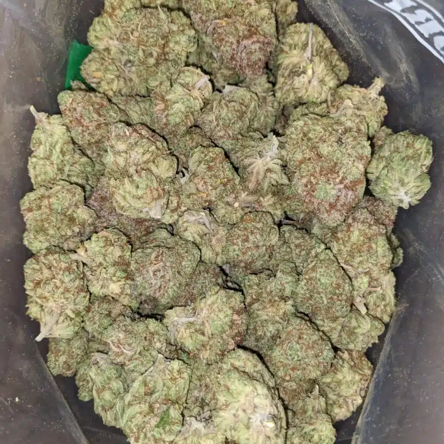 Yuzu lemon 2 I $ 48 oz - Yuzu Lemon
