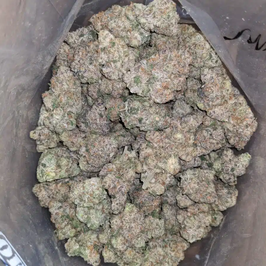 grape cake 4 1 I Grape Cake