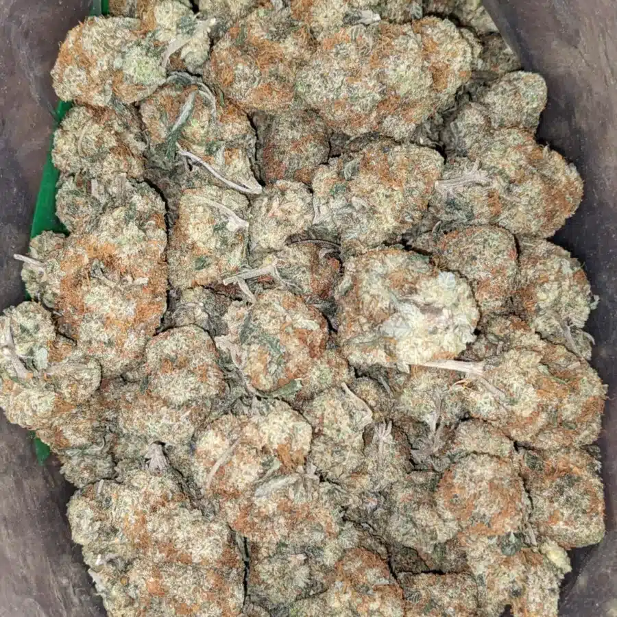 $45oz Wedding Pie