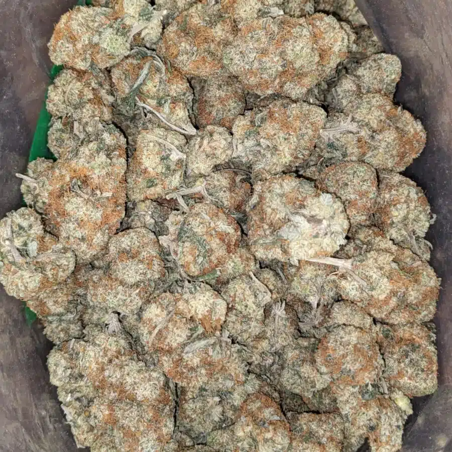 45 Wedding Pie 2 I $45 Oz - Wedding Pie