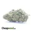 $48 Oz - Alaskan Thunderfuck