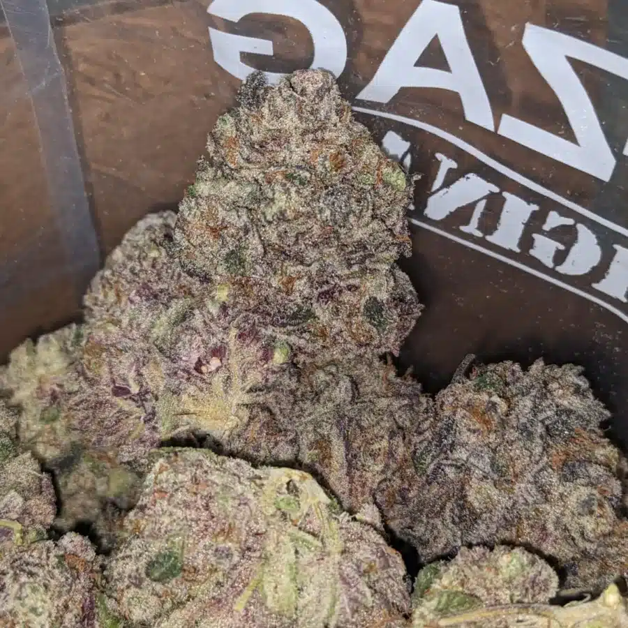 Blueberry Yum Yum 3 I Blueberry YumYum