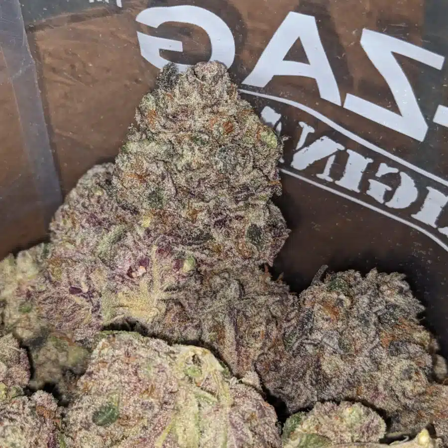 Blueberry Yum Yum 4 I Blueberry YumYum
