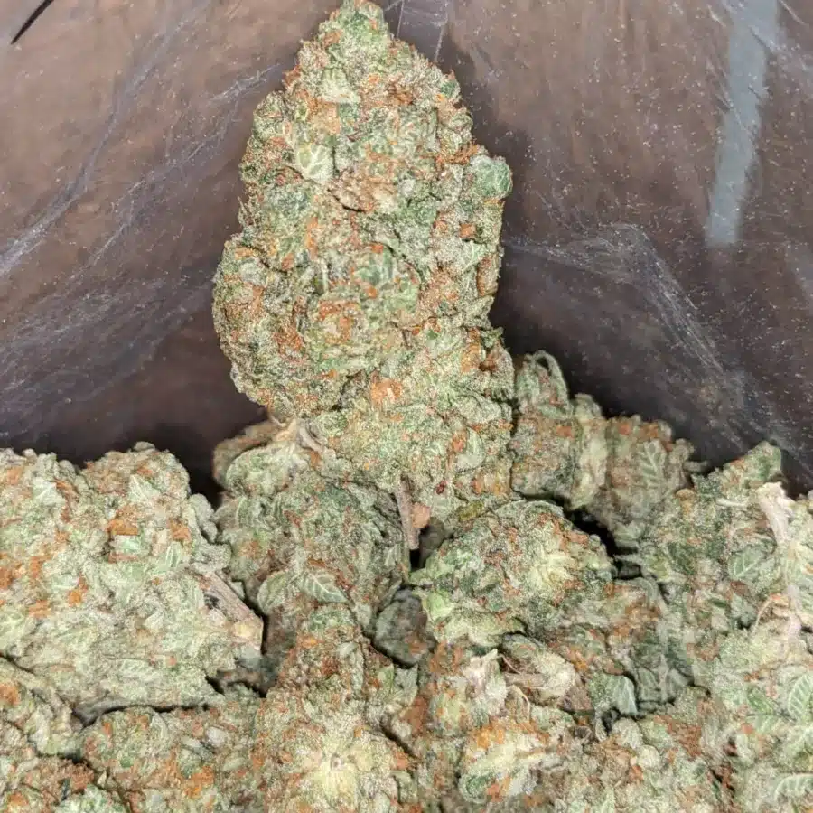 Double Og 4 I Double OG