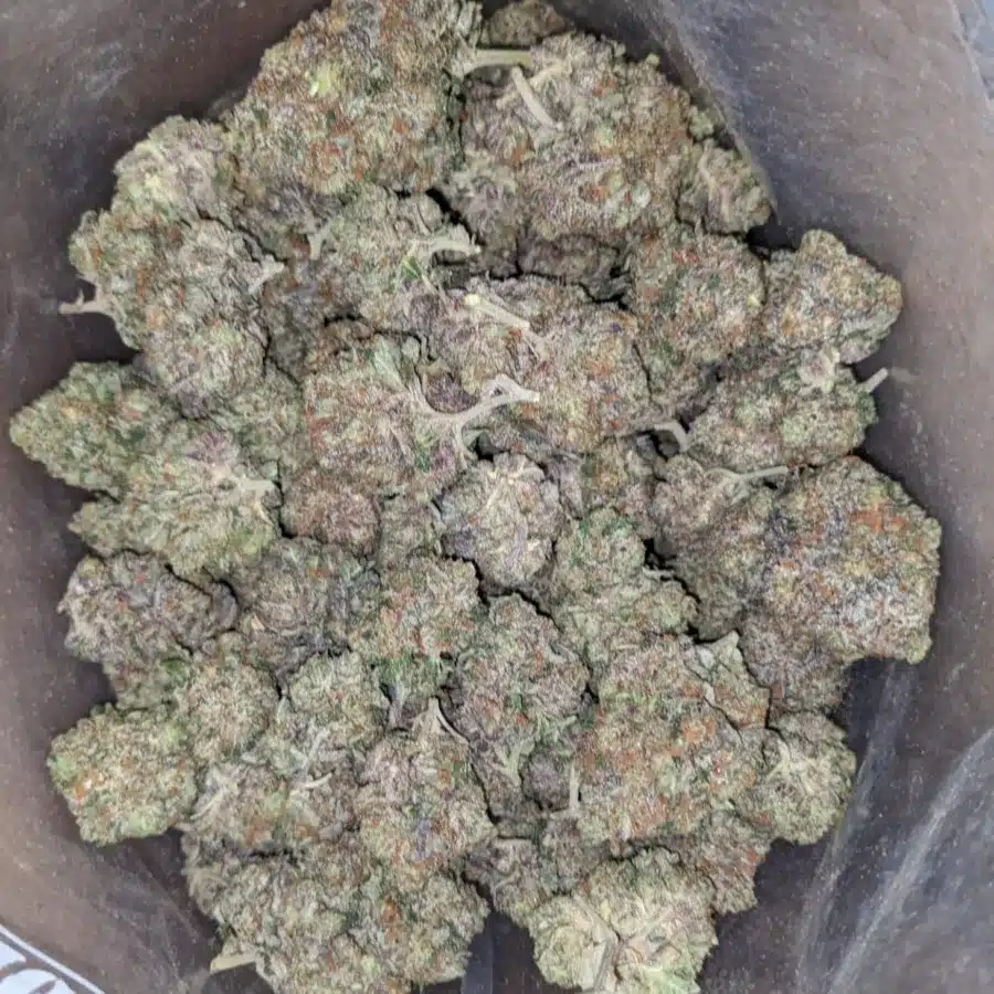 El jefe AAA 1 I El Jefe AAA
