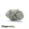 $ 40 Oz - Funky Kitty